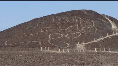 Líneas paracas