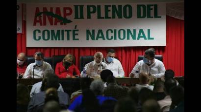 La plenaria aprobó 15 acuerdos sobre los cuales la ANAP basará su trabajo