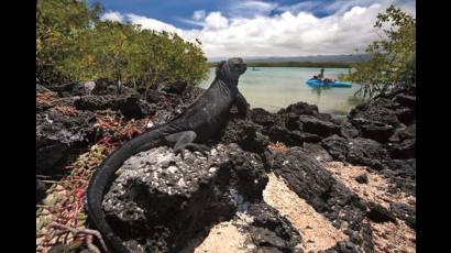 Galápagos