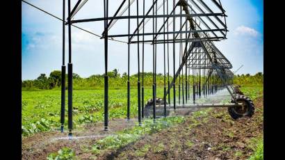 Sistema de riego en la agricultura