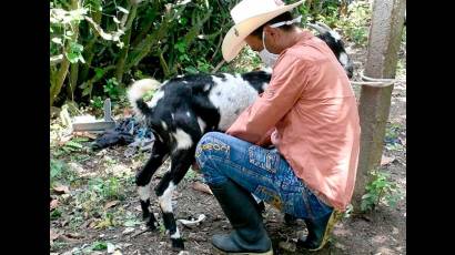 Leche caprina