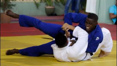 Gala del judo