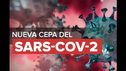 cepa de coronavirus SARS-CoV-2