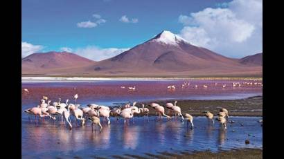 Laguna colorada