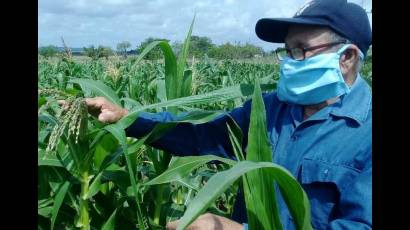 Producción de alimentos