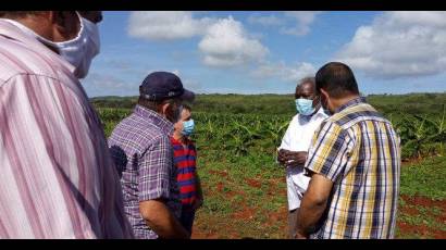 Esteban Lazo visita Ceiba Mocha