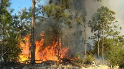 Incendios Forestales en Cuba