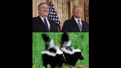 Trump y Pompeo