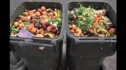 Comida a la basura