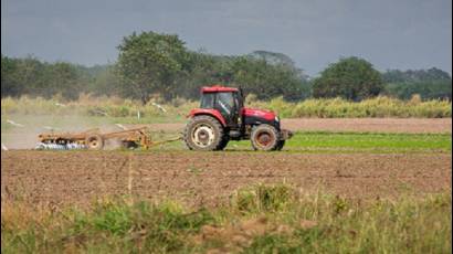 Agricultura cubana
