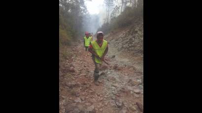 Fuerzas  especializadas