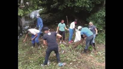 Día mundial del medio ambiente