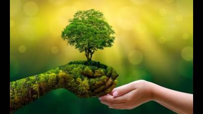 Medio Ambiente