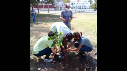 Jornada Juventud en verde, desarrollan por las Brigadas Técnicas Juveniles y la Red Juvenil Ambiental de Cuba