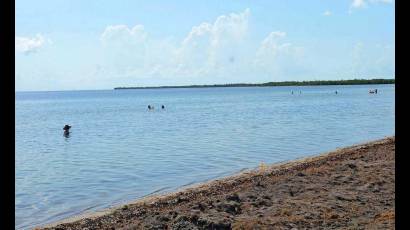 Playa Bibijagua