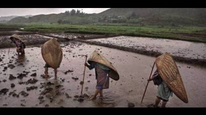 Trabajadores del  pueblo de Mawsynram, en Meghalaya (India)