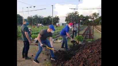 El Presidente cubano participa en jornada de trabajo voluntario