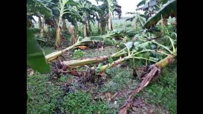 Impacto de Ida en Pinar