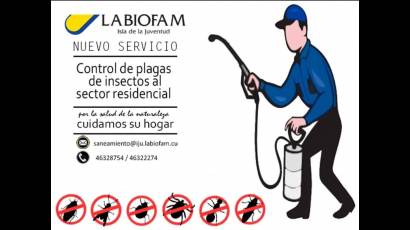 Infografía logo del servicio