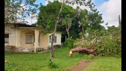 Impacto de Ida en la Isla