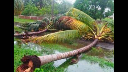Impacto de Ida en territorio cubano