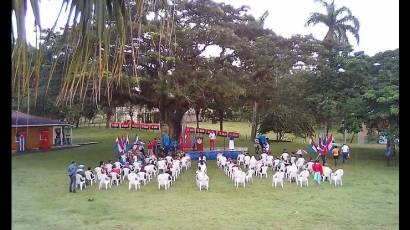 Acto político-cultural en Birán