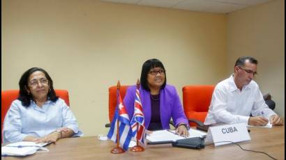 Encuentro virtual entre la  viceministra de Relaciones Exteriores de Cuba, Anayansi Rodríguez Camejo, y el subsecretario permanente de la Cancillería del Reino Unido, Philip Barton