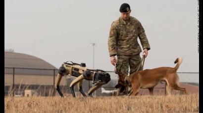 Perros robot podrían patrullar la frontera entre Estados Unidos y México