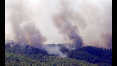 Incendio forestal en Pinar