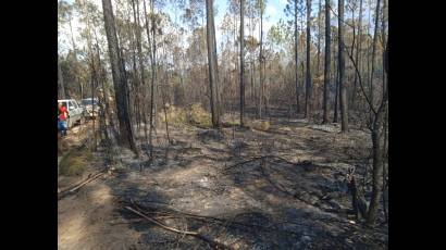Incendio en Pinar del Río