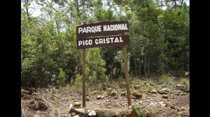 Pico Cristal