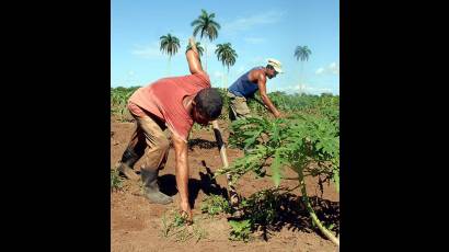 Día del Campesino