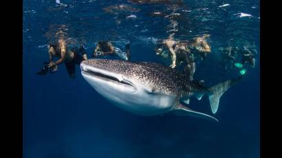 La relación humano-naturaleza tiene que dejar la mentalidad de explotación.