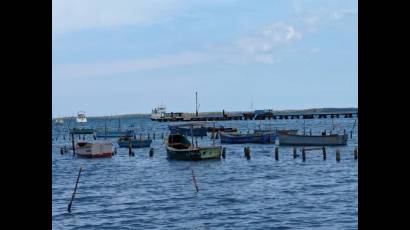 La pesca de plataforma y la agricultura