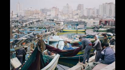 El sector de la pesca