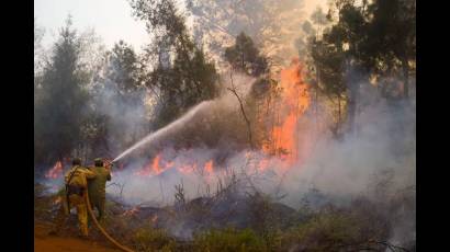 Incendio de grandes proporciones en Pinares de Mayarí, Holguín