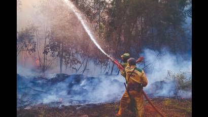 La estación ecológica Poza de Rafael se preservó mayormente por el desvelo de quienes han llegado al Este holguinero a eliminar el fuego