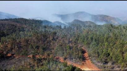 Incendio forestal