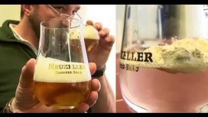 Cerveza en polvo