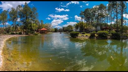 Jardín Botánico Nacional