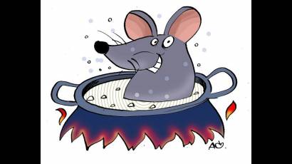 DDT
