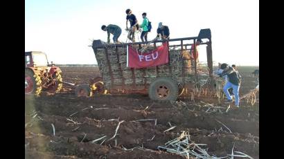 Jóvenes matanceros en trabajo voluntario