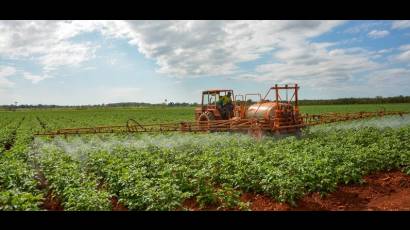 La producción de alimentos