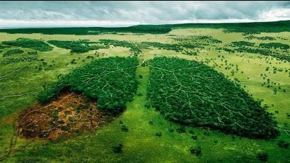 Amazonía