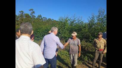 El Presidente cubano intercambió con una brigada de corte de madera de la Empresa GAF Guanahacabibes