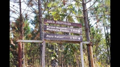 Pinares de Mayarí
