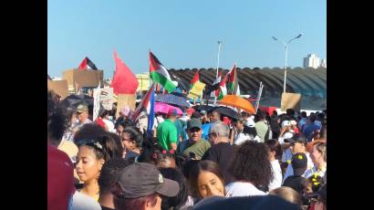 Marcha en favor de Palestina