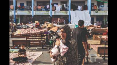 Decenas de miles de familias en Palestina