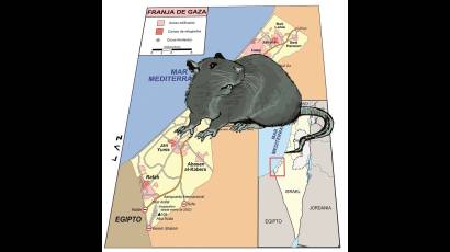 Palestinos de Hamás