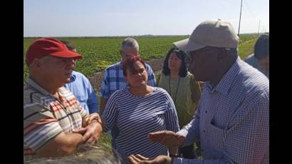 Salvador Valdés Mesa en Pinar del Río